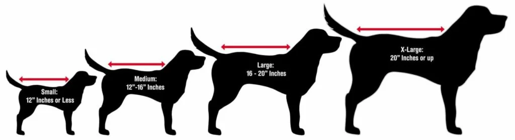 A size comparison chart, created by Burlingame Pet Salon, illustrating small, medium, large, and extra-large dog sizes with corresponding height ranges.